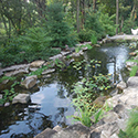 Deerpath Rd. pond