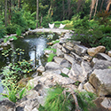 Deerpath Rd. pond