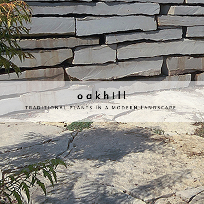 Oakhill Lane Oakhill Lane