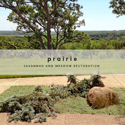 Bull Valley Prairie Restoration